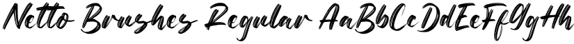 Netto Brushes Regular font
