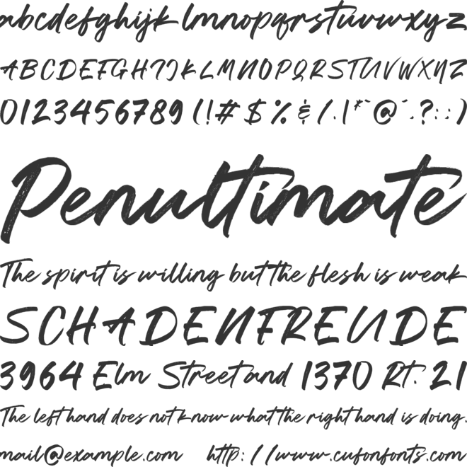 Seacoast font preview