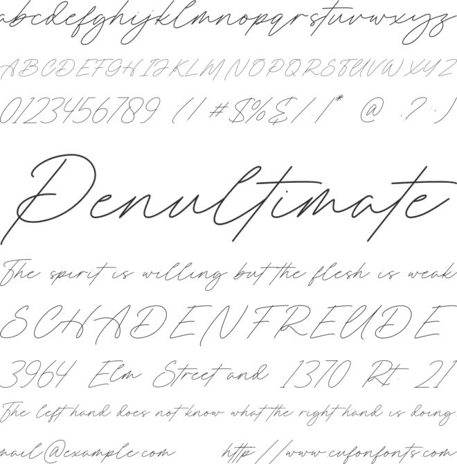 Roslyna font preview