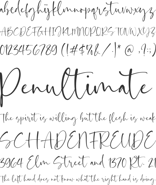 Daffodil Kingdom font preview