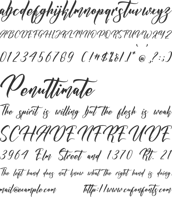 Nickitasha Bardovilly font preview