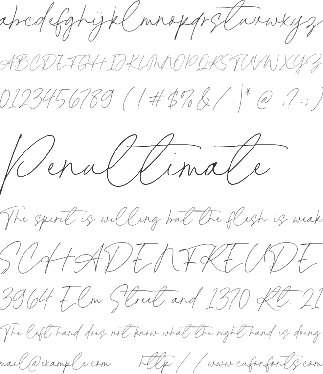 Fiance Rosalie font preview