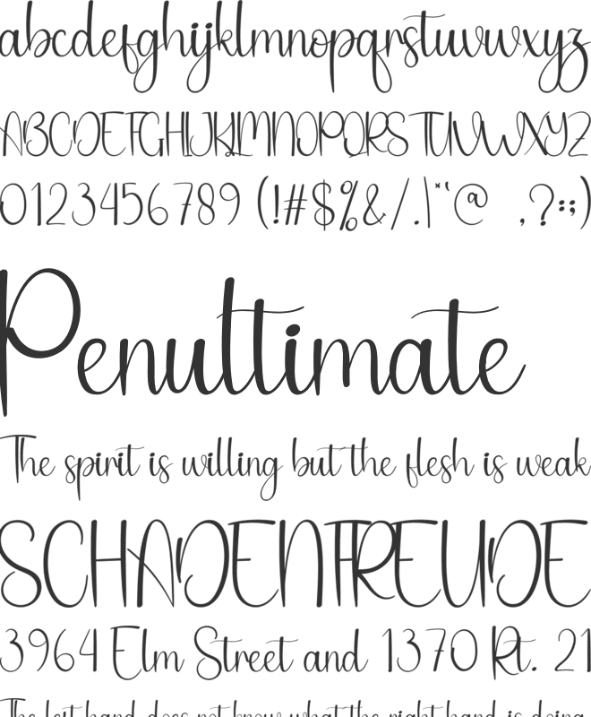 Fourteen font preview