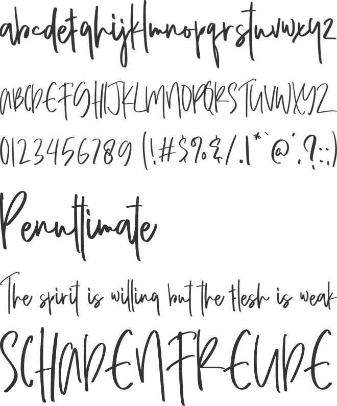 Butterfly Personal Use font preview
