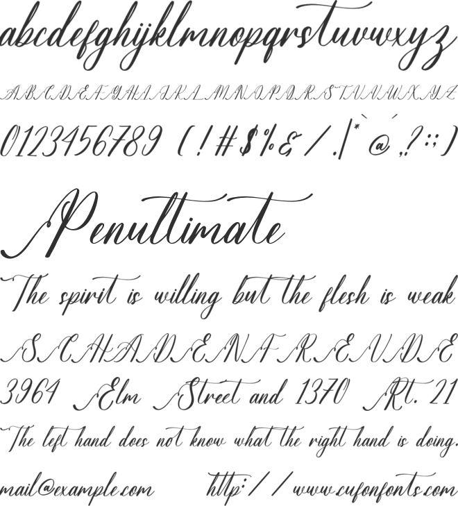 Sovinhaya Dictaselin font preview