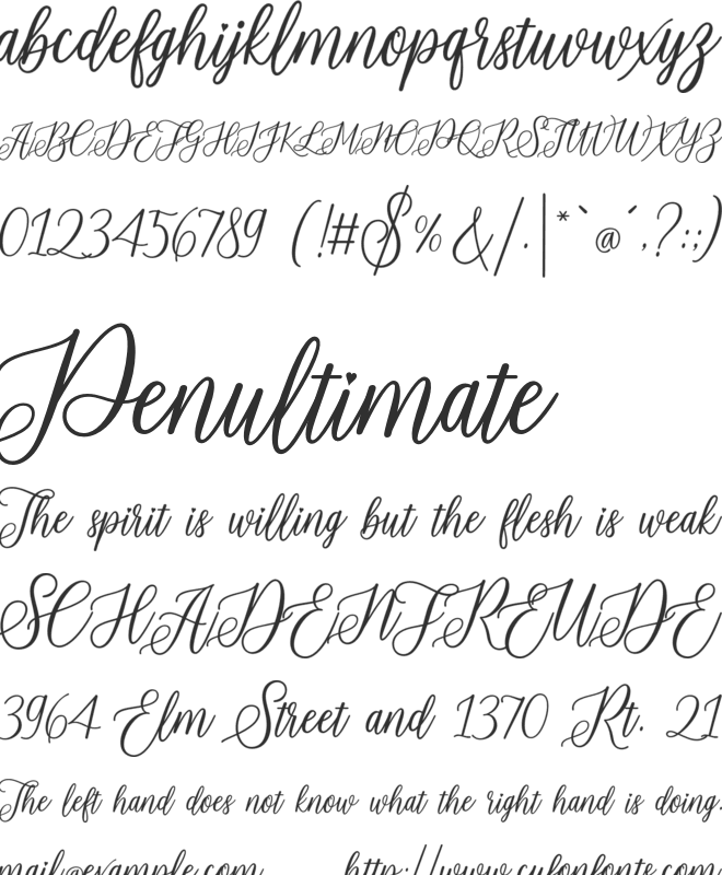 Groute Script font preview