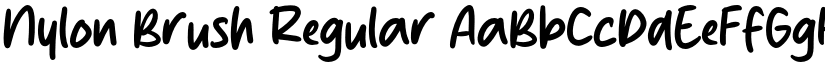 Nylon Brush Regular font