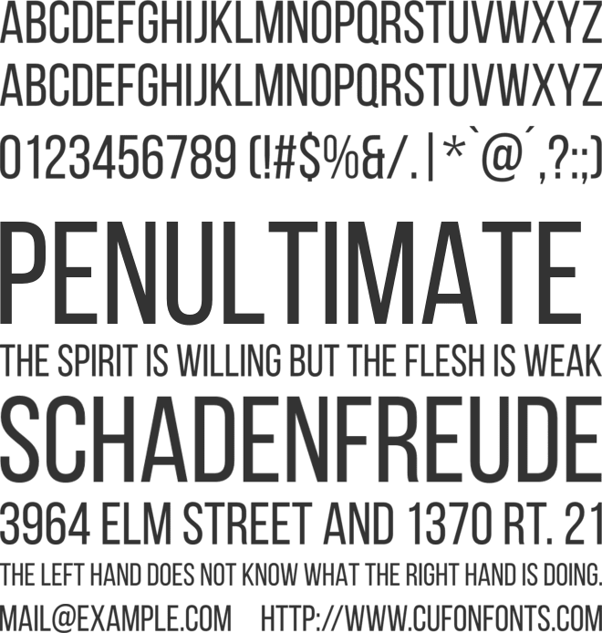 Bebas Neue font preview