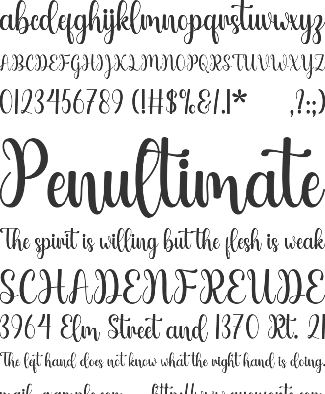 Violine font preview