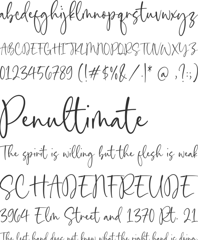 Fabiola Thomson font preview