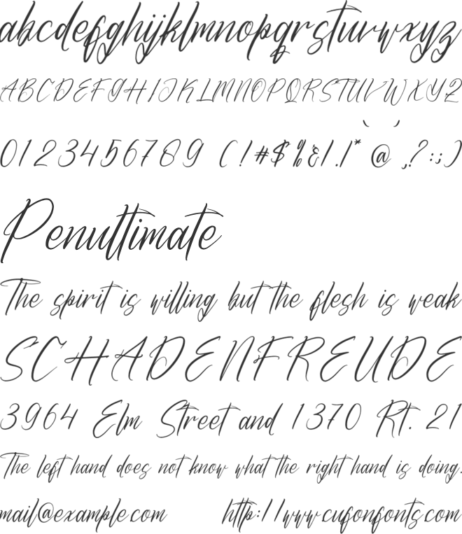Qenithamy Blainora font preview