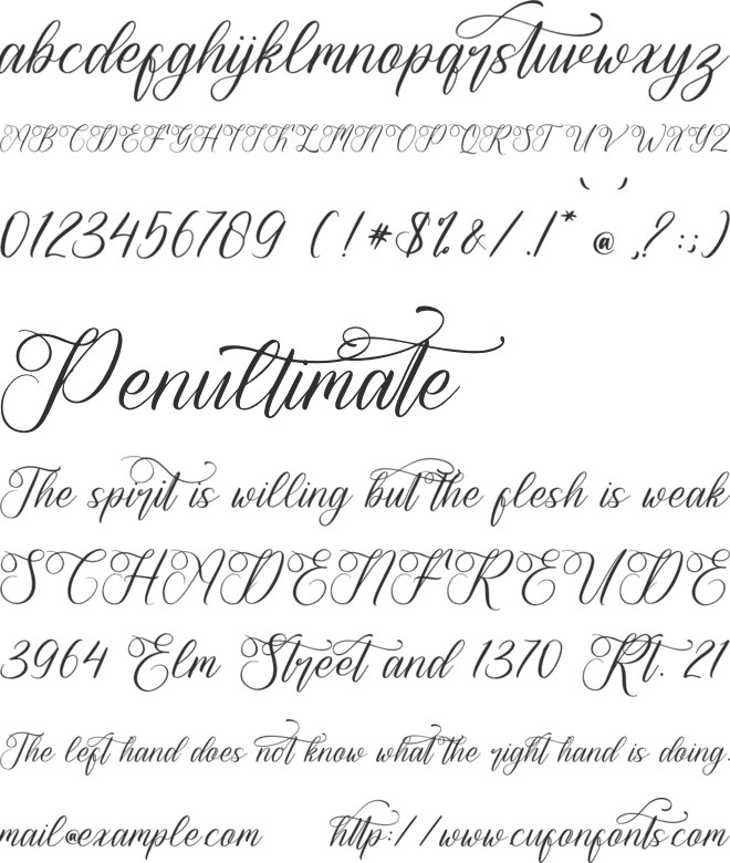 Havelina Renatiwy font preview