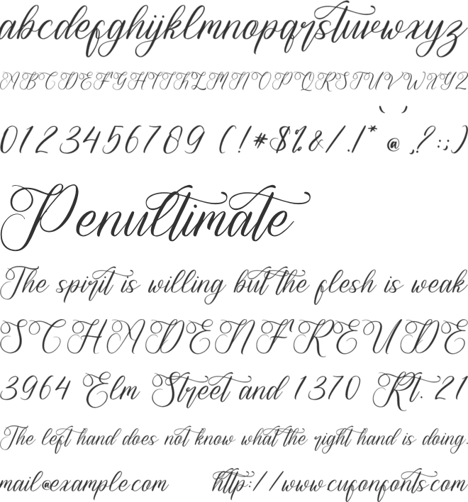 Havelina Renatiwy font preview