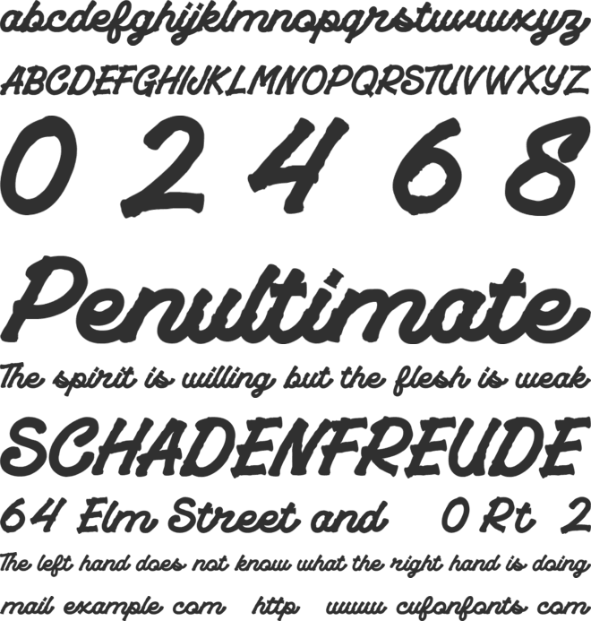 Playride font preview