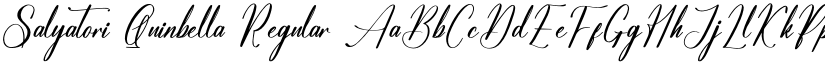 Salyatori Quinbella Regular font