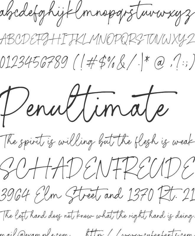 Tropical Paradise font preview