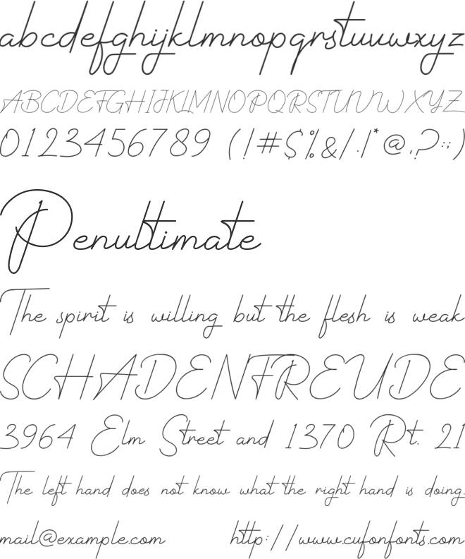 Rastery Signature font preview