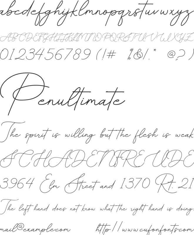 Better Days Signature font preview