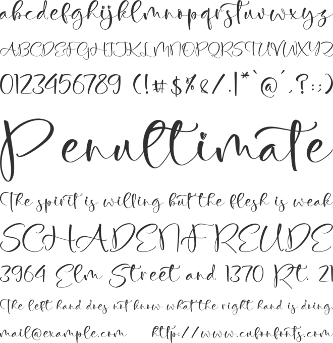 Fasthelly font preview