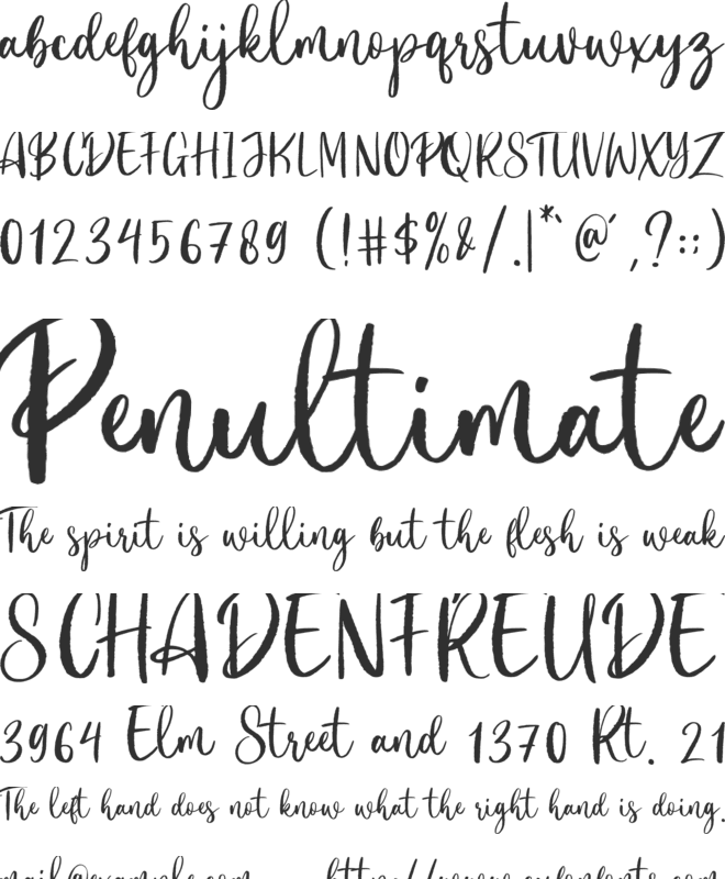 Birloves font preview