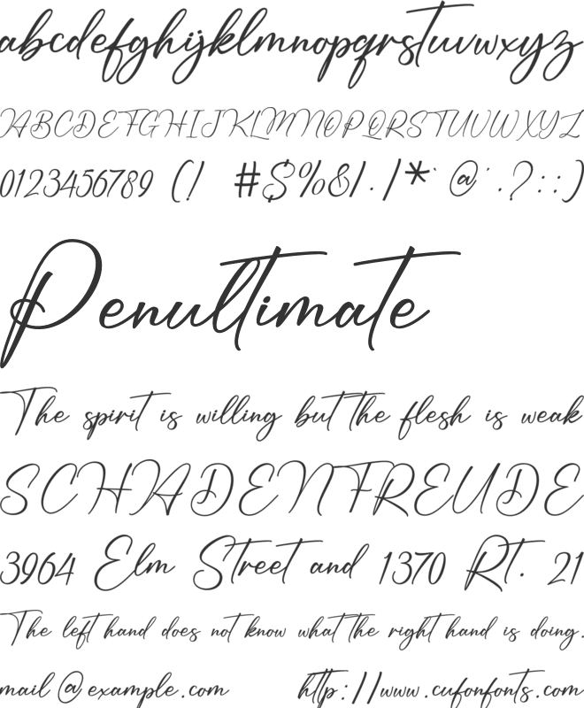 Fettura font preview