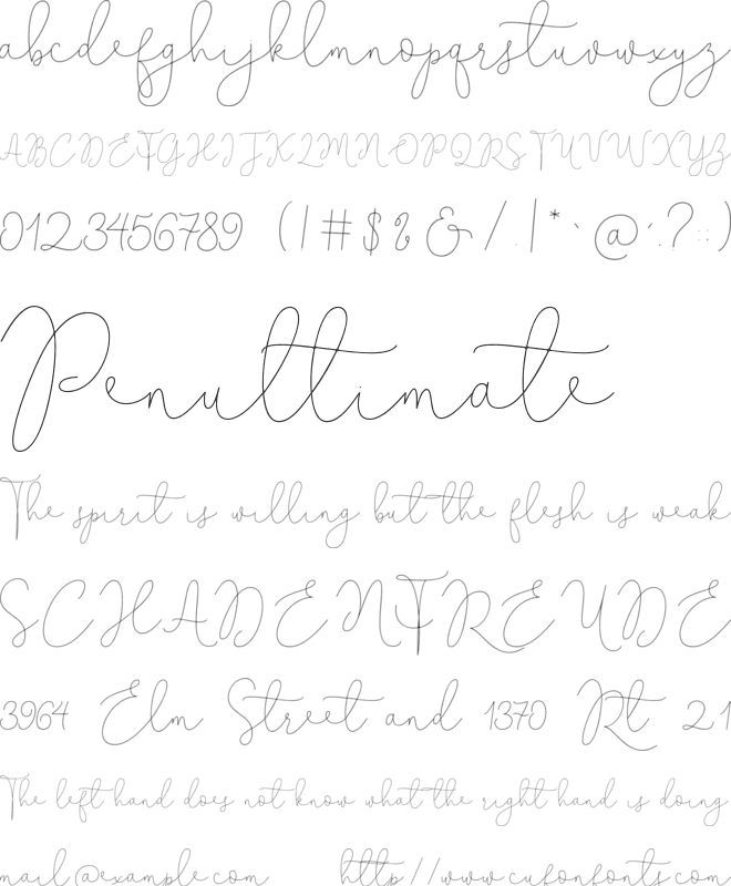 blossom lovely font preview