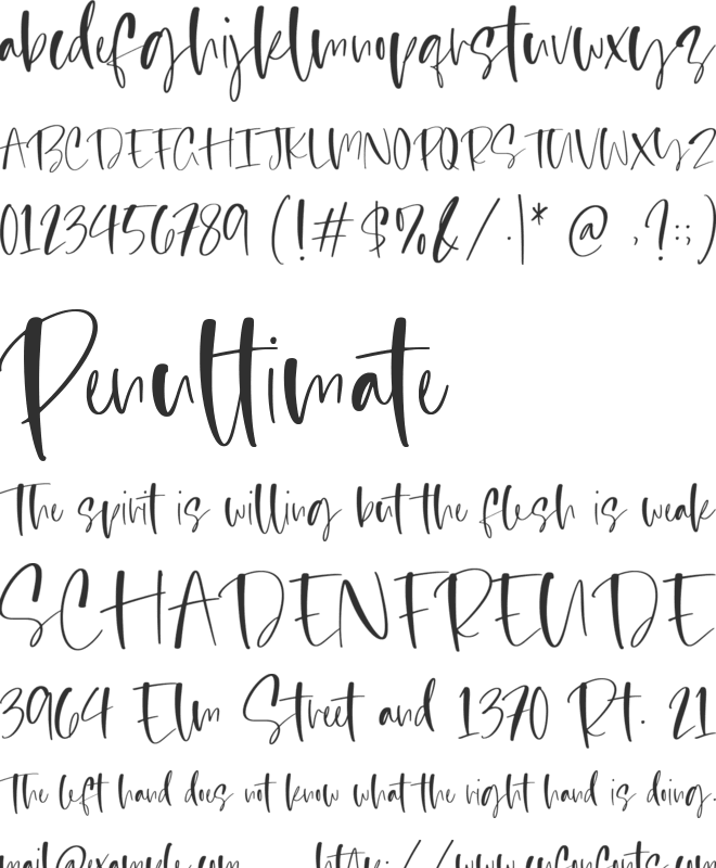 Blessed Primrose font preview