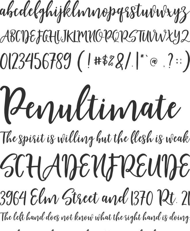 Shellion Script font preview