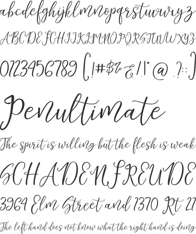 Estamilo Script font preview