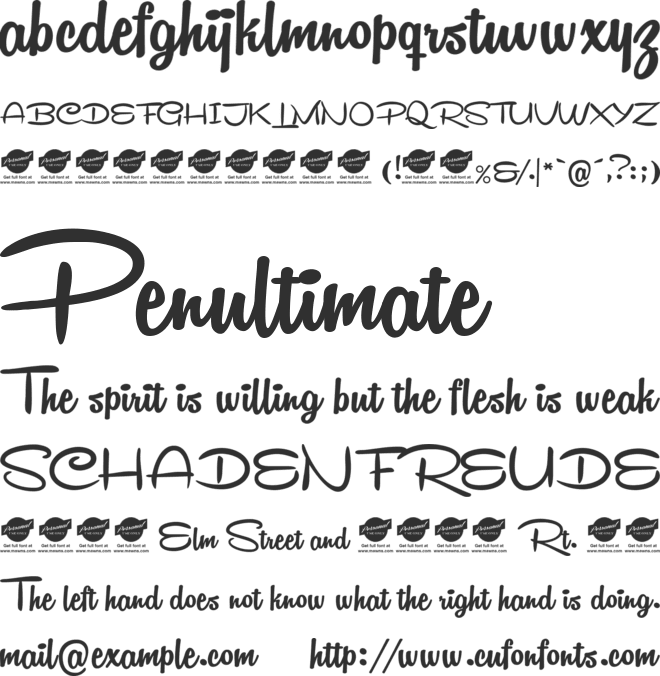 Remachine Script Personal Use font preview