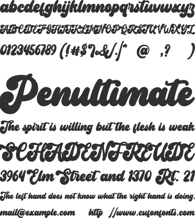 Matriks font preview