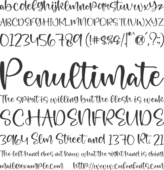 Flowless font preview