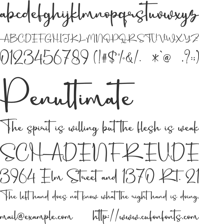 Raffinha - Personal Use font preview