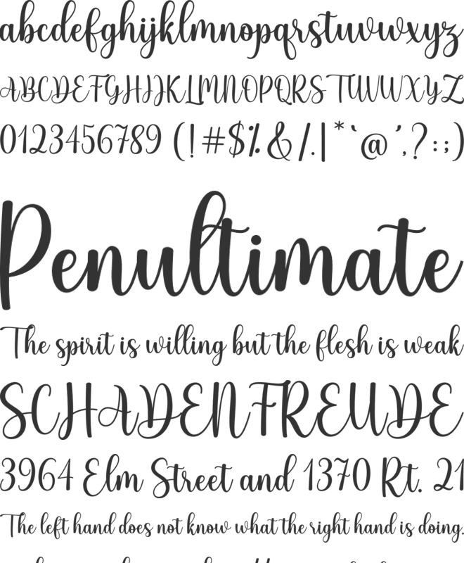 Story Line font preview