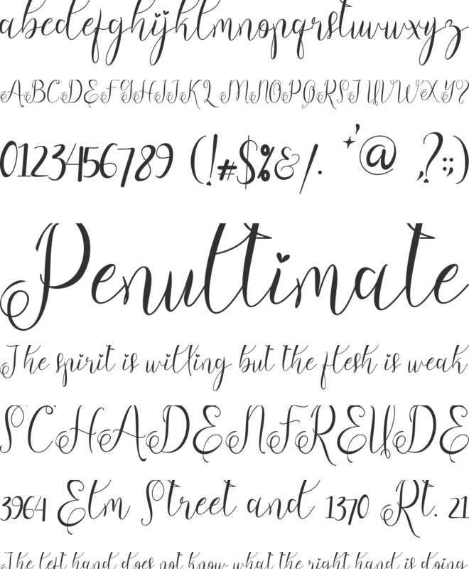 Adella Spring font preview