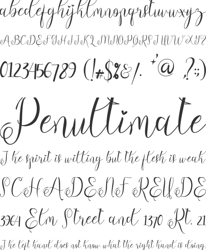 Adella Spring font preview