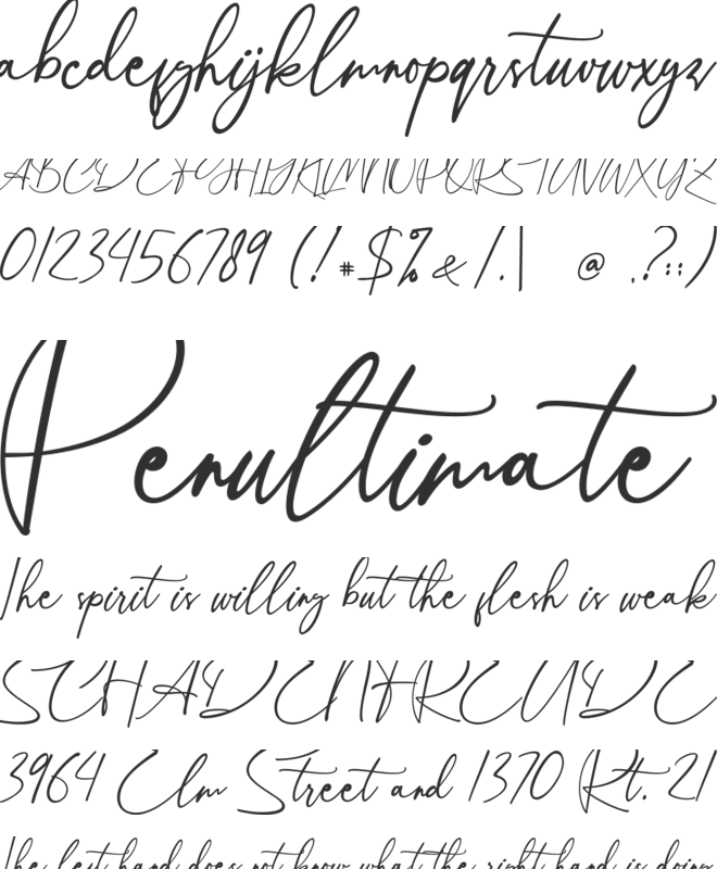 Kaitlyn font preview