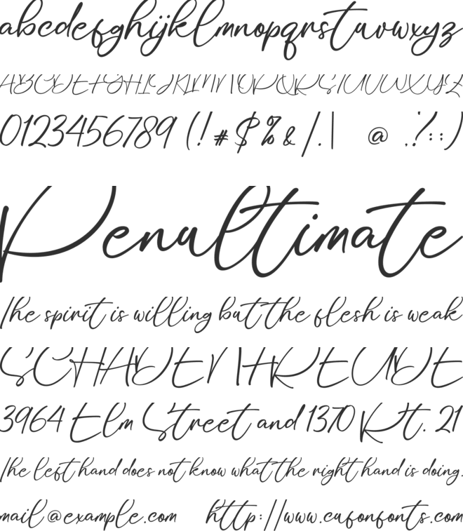 Stylissa font preview