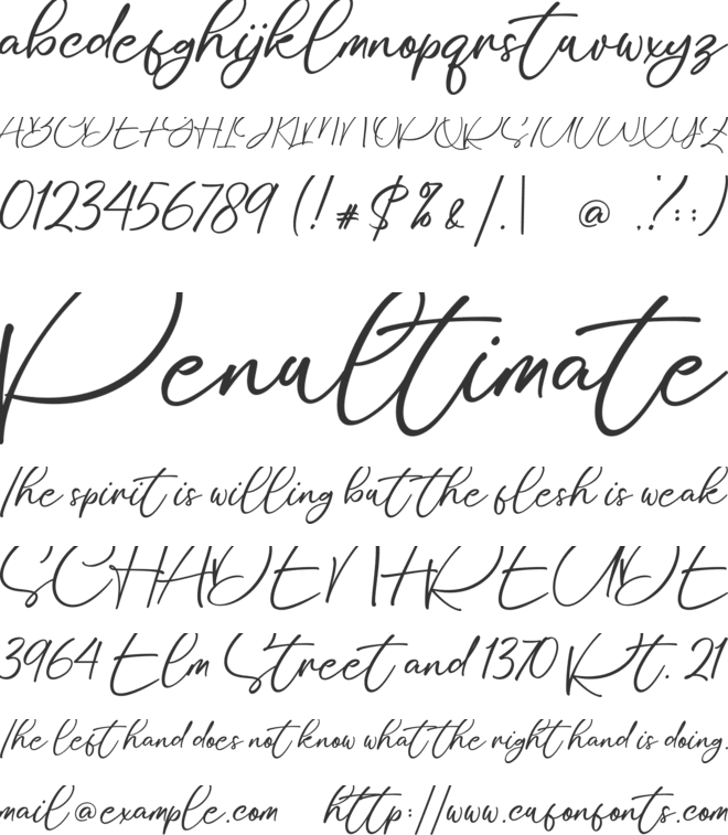 Stylissa font preview