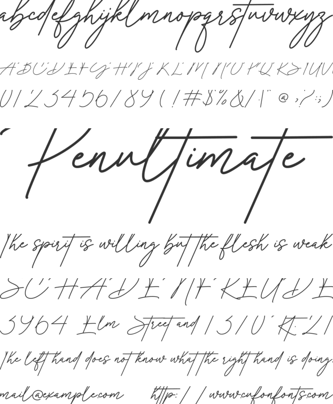 Rosalinda Signature font preview