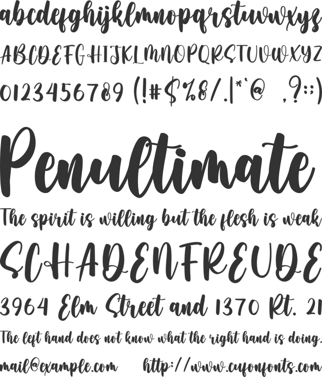Rimba font preview