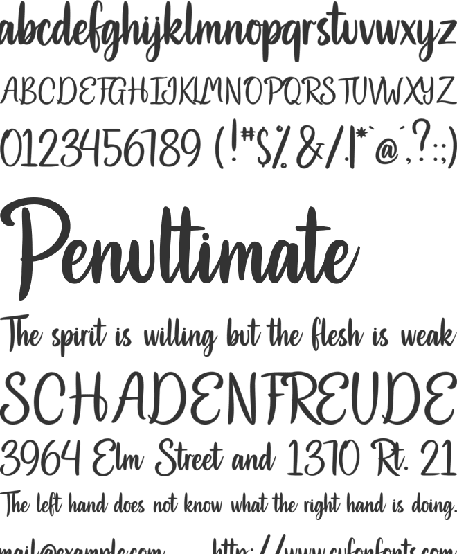 Camellia in Easter font preview