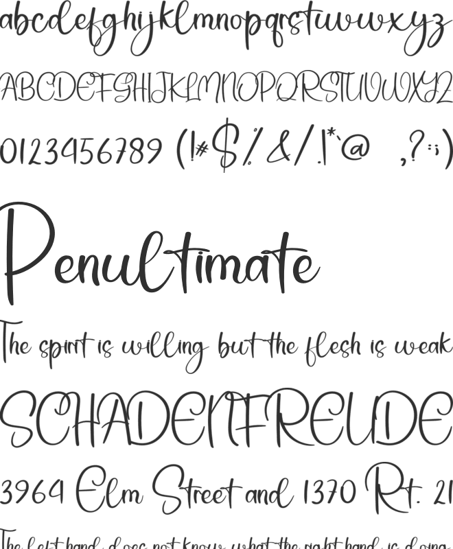 Simple Present font preview