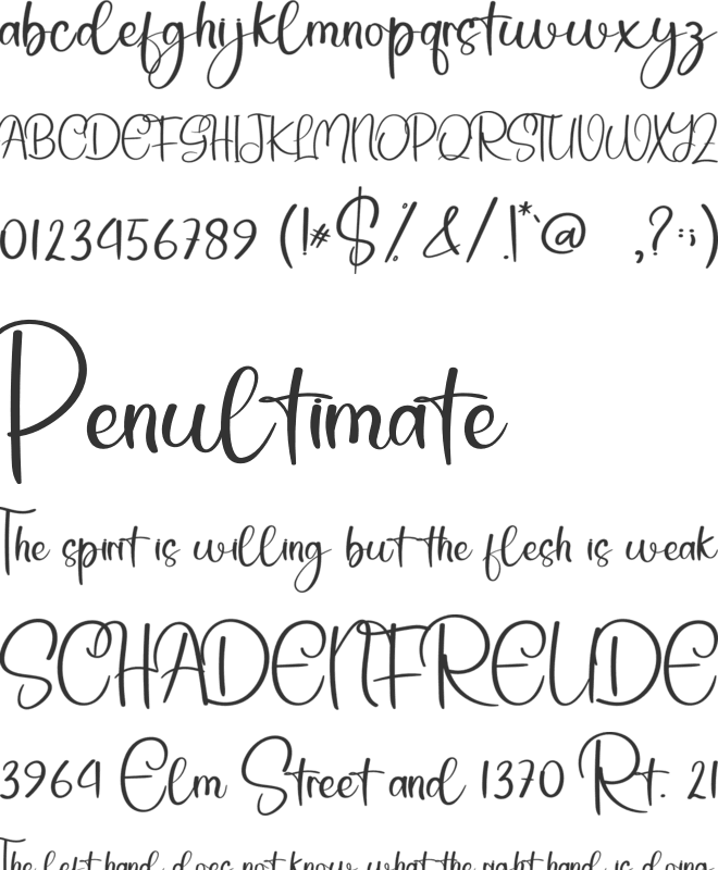 Simple Present font preview