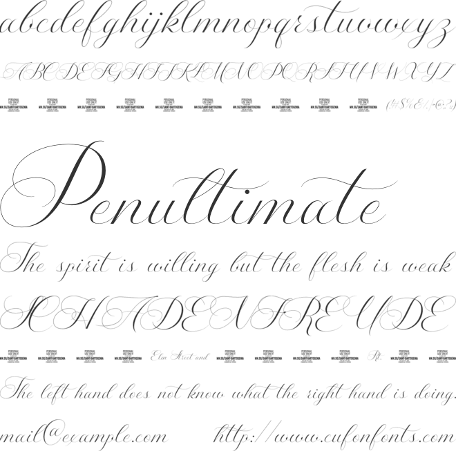 Saint Bartogenia PERSONAL USE font preview