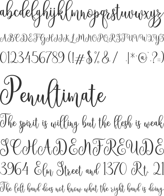 Ameline font preview