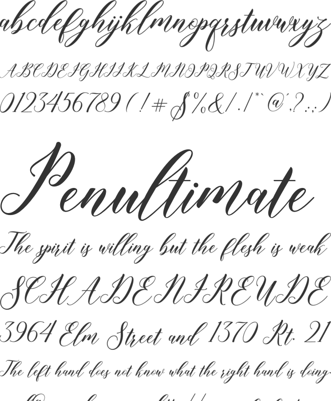 Kembali font preview