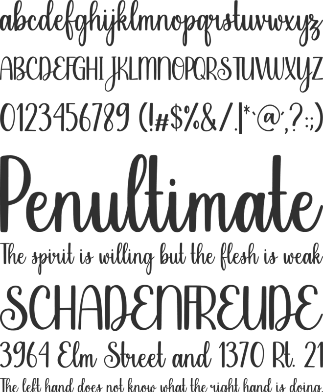 Family Jungle font preview