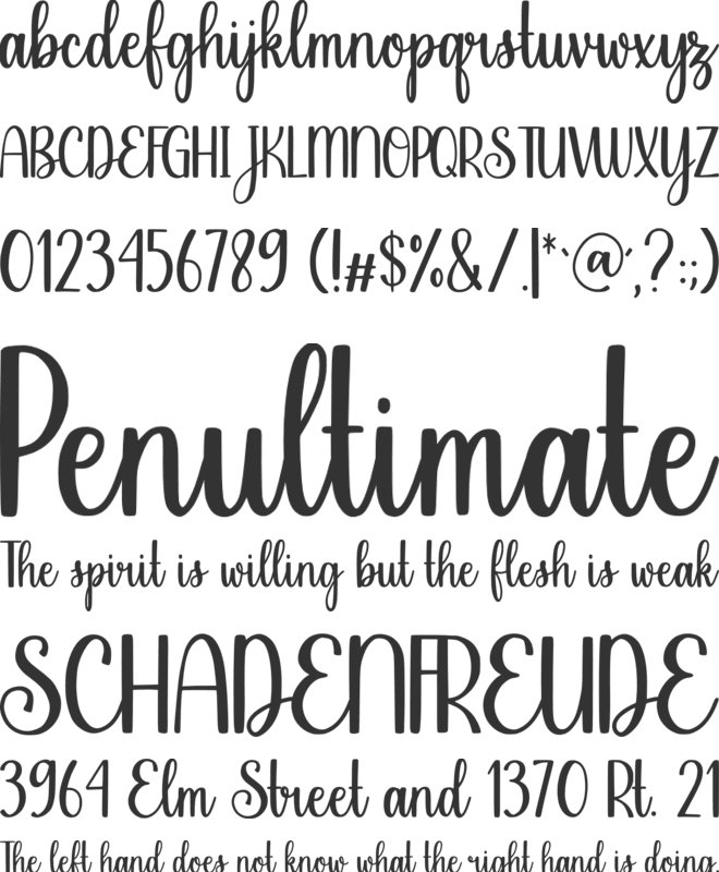 Family Jungle font preview