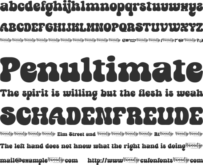 Coming Peak Personal Use Only font preview